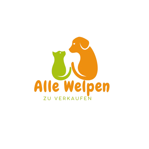 Alle Welpen zu verkaufen
