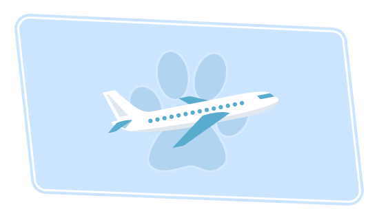 travel-air.gif