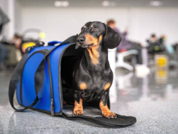istockphoto-1215591934-612x612-1.jpg
